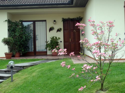 La casa con il giardino fiorito